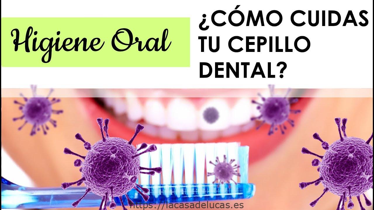 Aprender a limpiar los cepillos de dientes para una higiene bucal optima